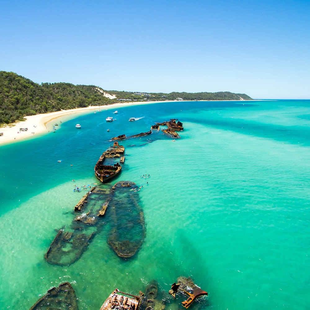 moreton island snorkelling tours