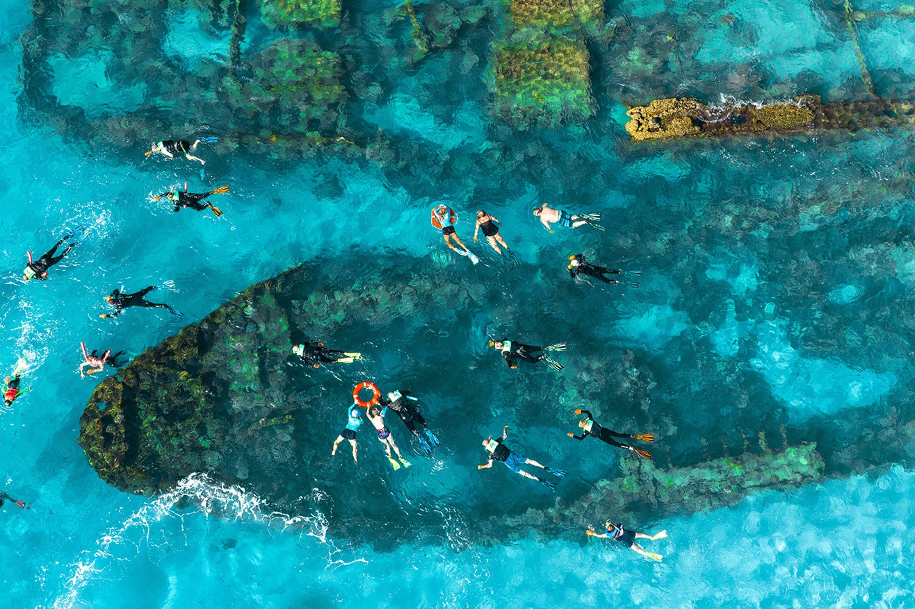 SM Snorkling Crop